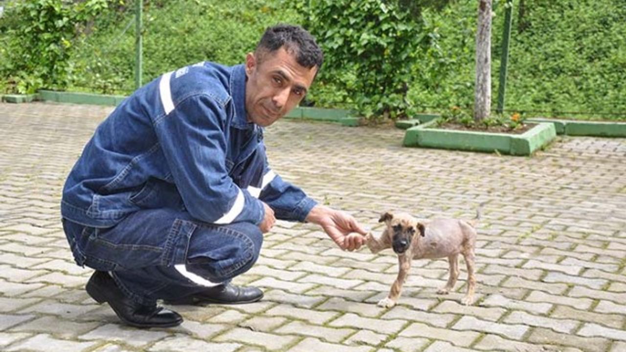 ZİFT BATAĞINDA ÖLÜMÜ BEKLİYORDU