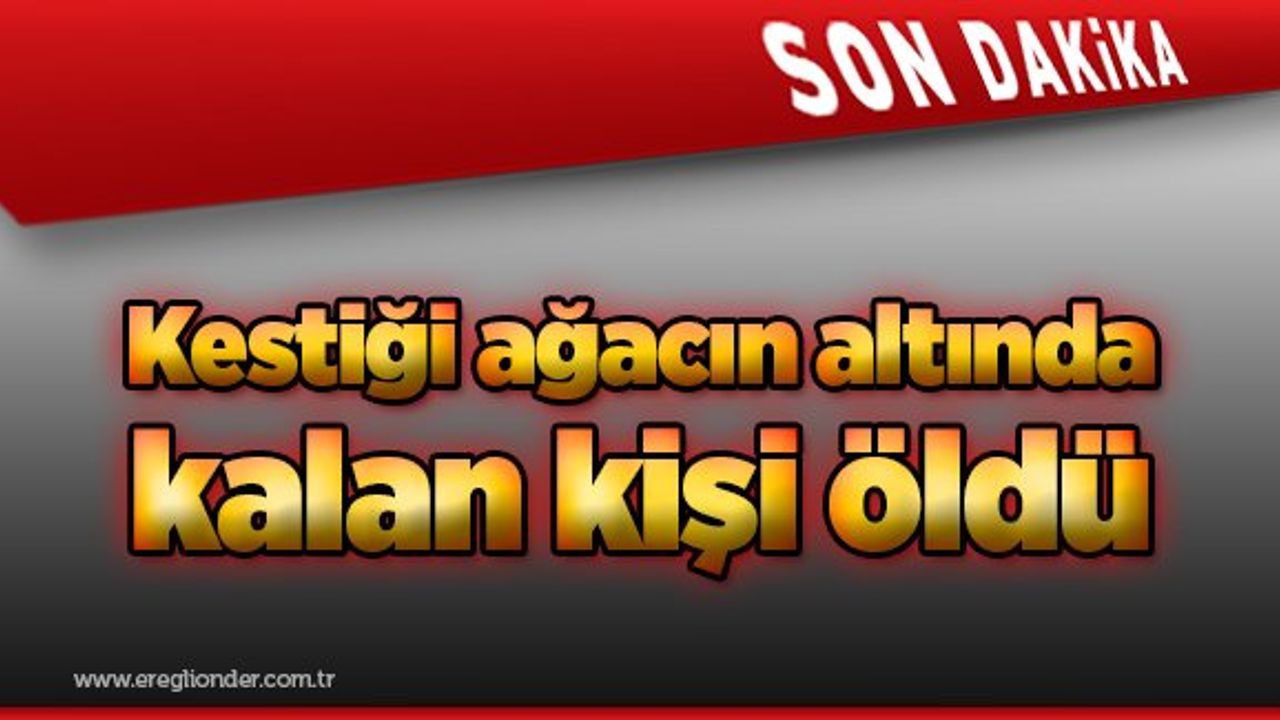 Kestiği ağacın altında kalan kişi öldü