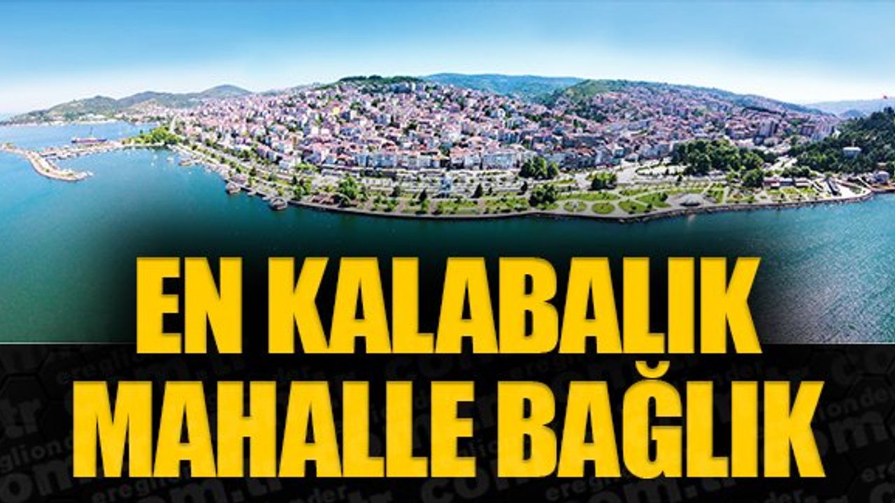 İLÇE VE BELDE MAHALLE NÜFUSLARI BELLİ OLDU