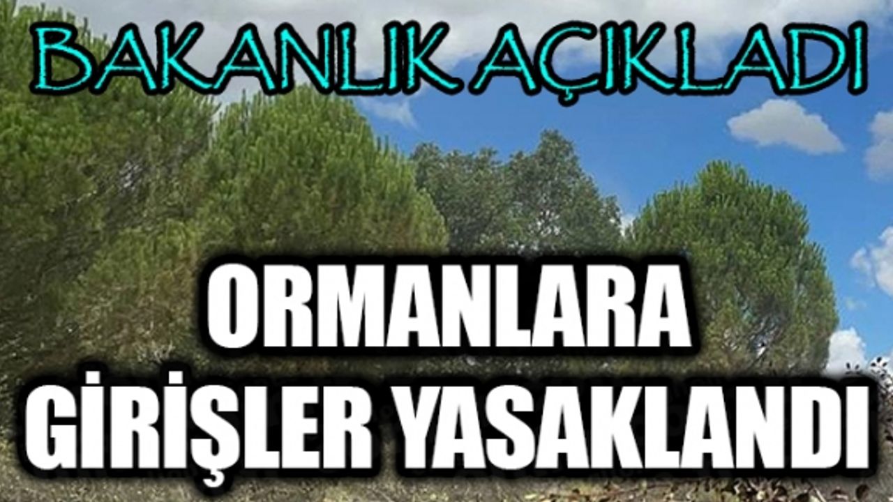 İçişleri Bakanlığından orman yangınlarına ilişkin genelge