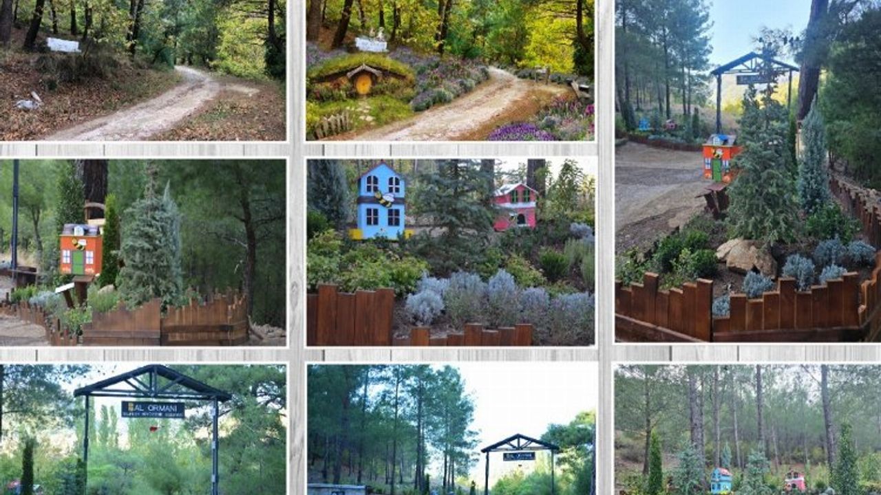 Türkiye'nin en büyük bal ormanı kuruluyor