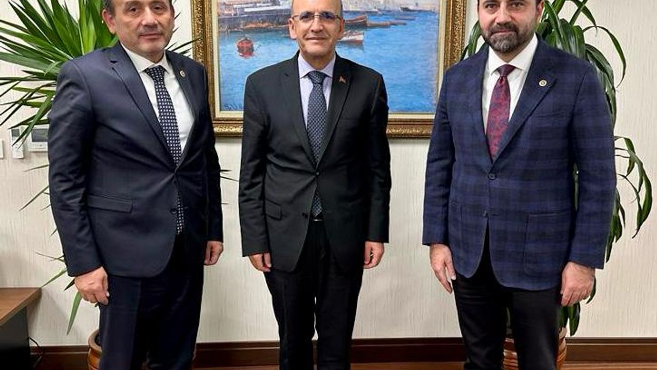 AK Parti Karabük milletvekilleri, bakanlar Işıkhan ve Şimşek ile görüştü