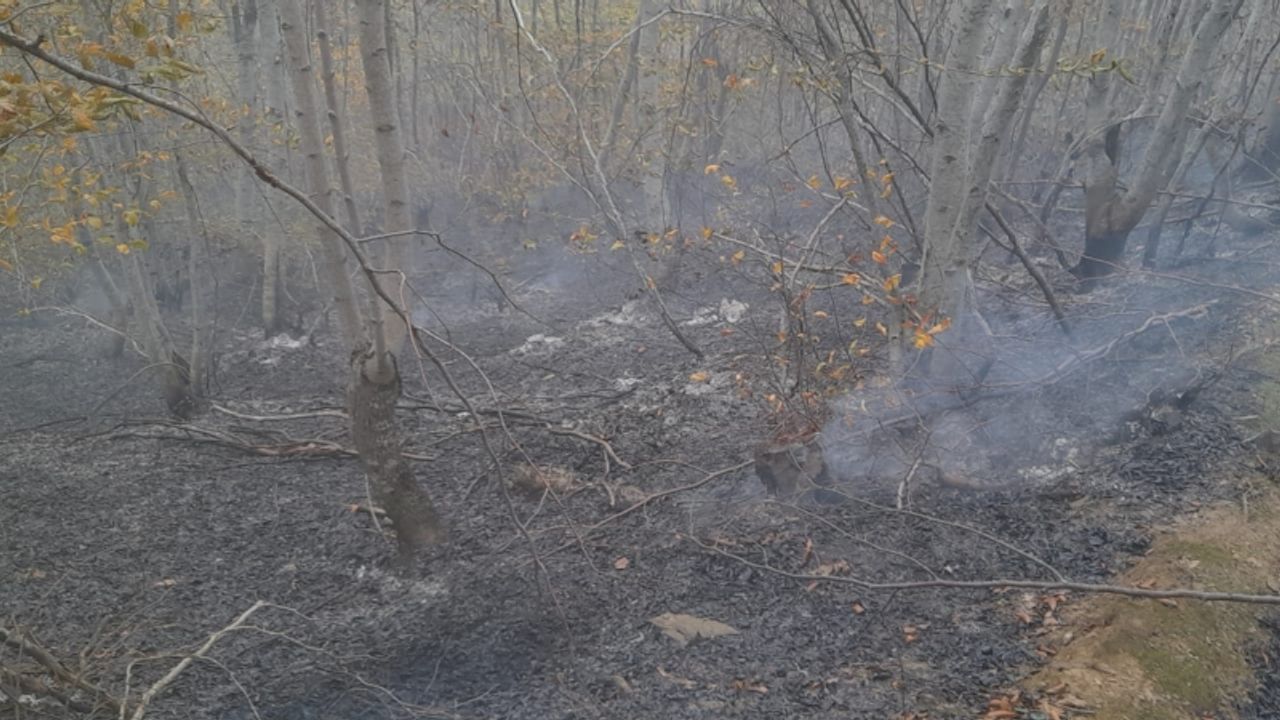 Tokat'ta çıkan orman yangını söndürüldü