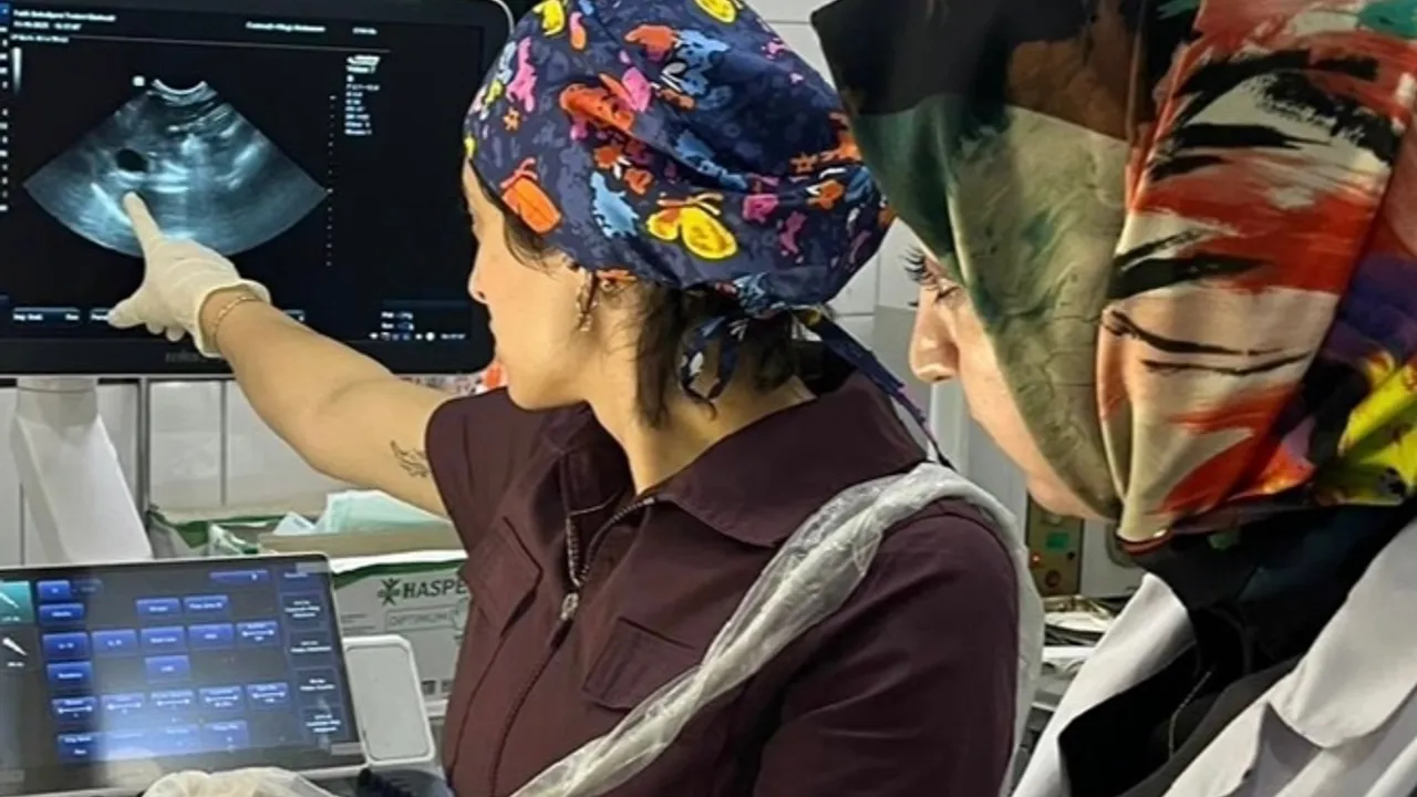 Fatih Belediyesi'nden sokak hayvanlarına modern tanı hizmeti