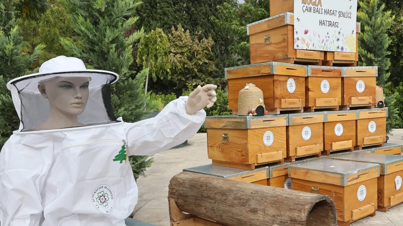 Muğla'da çam balı hasadı coşkuyla kutlandı