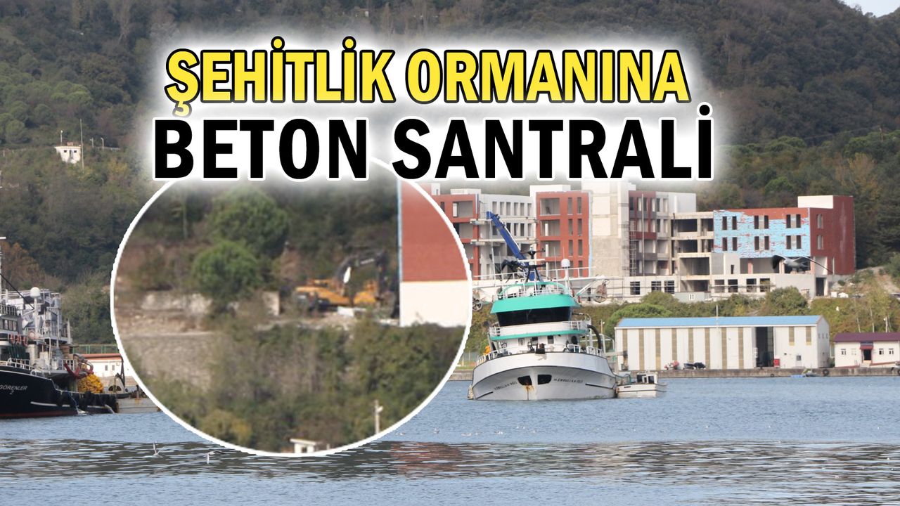 ASKERİ LİMAN İÇİN KURULUYOR