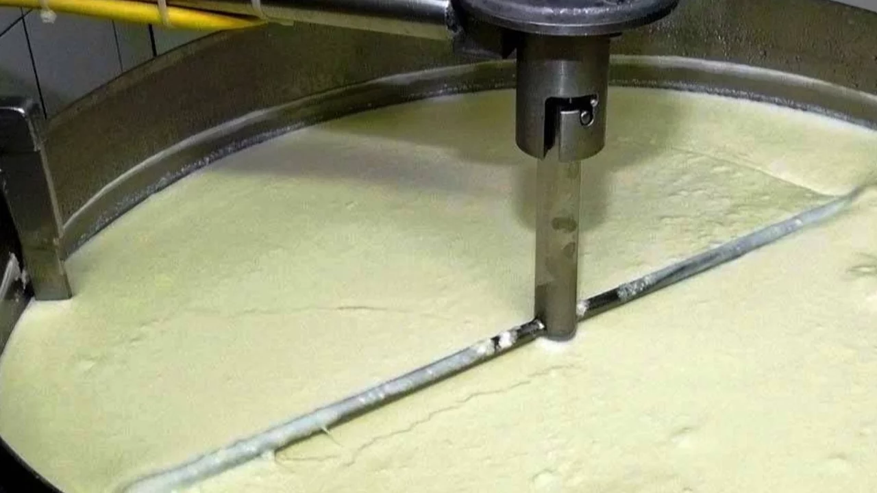 SÜT, YOĞURT, KEFİR VE PEYNİR ÜRETİMİNDE ARTIŞ