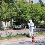 SARIKORKMAZ'DA İLAÇLAMA TALEBİ