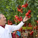 TEKNOLOJİK SERADA ÜRETİM, HEDEF 2 BİN 500 İSTİHDAM