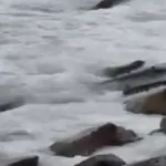 İLÇEYİ HAREKETLENDİREN CİSİM!