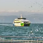 Bursa-İstanbul deniz otobüsü seferlerine hava engeli