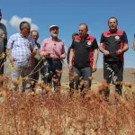 Kayseri Kocasinan karabuğdayın ilk hasadını yaptı