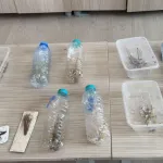 Nemrut'ta biyokaçakçılık operasyonu! 2 kişiye 1,4 milyon TL ceza