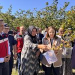 14 BİN TON FINDIK REKOLTESİ BEKLENİYOR
