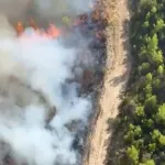 Antalya Serik'te orman yangını