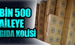 BİN 500 AİLEYE GIDA KOLİSİ