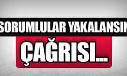 AYDIN DA, VARAGEL ÇEVRESİNDEKİ HIRSIZLIĞA DİKKAT ÇEKTİ