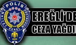 EHLİYETSİZ ARAÇ KULLANIMI, ABART EGZOS, ALKOL, YÜKSEK SES...