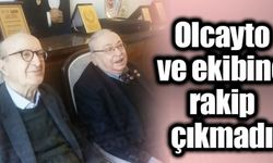 Tek listeli seçim
