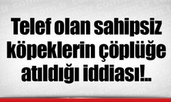 Telef olan sahipsiz köpeklerin çöplüğe atıldığı iddiası
