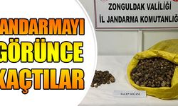 ARAÇTA 40 KG SALEP SOĞANI TESPİT EDİLDİ