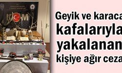 Kızıl geyik ve karaca kafalarıyla yakalanan kişiye 180 bin lira ceza