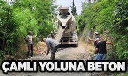 ÇAMLI YOLUNA BETON...