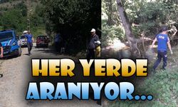 HER YERDE ARANIYOR...