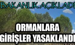 İçişleri Bakanlığından orman yangınlarına ilişkin genelge