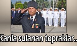 Şahin’nden Kıbrıs Barış Harekatı’nın yıldönümü mesajı