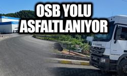 YAŞAR TETİKER BULVARI ASFALTLANIYOR