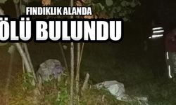 FINDIKLIK ALANDA ÖLÜ BULUNDU