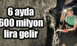 TTK 6 ayda taş kömüründen 600 milyon lira gelir sağladı