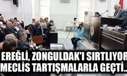 EREĞLİ ÖDEDİĞİ YÜZDE 79 VERGİNİN, YÜZDE 8'İNİ GERİ ALIYOR