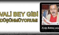 VALİ BEY GİBİ DÜŞÜNMÜYORUM!