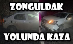 ZONGULDAK YOLUNDA KAZA