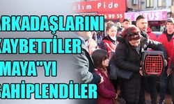 KEDİ KARADENİZ EREĞLİ'YE GETİRİLDİ