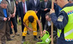 Samsun'da fidan dikme etkinliği düzenlendi