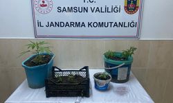 Samsun'da uyuşturucu operasyonunda 1 zanlı yakalandı