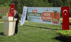 TOGÜ'de üretilen 2 bin aşılı asma fidanı üreticilere dağıtıldı
