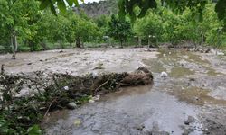 Amasya Gümüşhacıköy'de sağanak su baskınlarına neden oldu