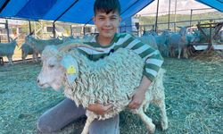 Zonguldak'ta hayvan pazarında Kurban Bayramı hareketliliği yaşanıyor