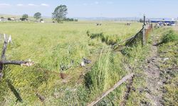 Bolu'da otomobilin çarptığı çitin parçası vücuduna saplanan sürücü ağır yaralandı