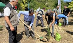 Sinop'un Gerze ilçesinde 15 Temmuz şehitleri anısına fidan dikildi