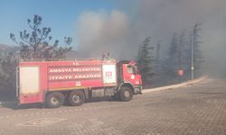 Amasya'da Harşena Kalesi yakınındaki ormanlık alanda yangın çıktı