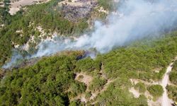 Bolu'daki orman yangını alanlarında soğutma çalışması sürüyor