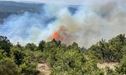 GÜNCELLEME - Bolu'da orman yangınına müdahale ediliyor