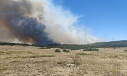 Bolu'da ormanlık alanda çıkan yangına müdahale ediliyor