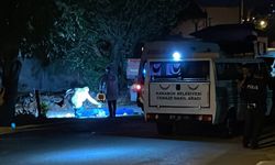 Karabük'te bir kişi karısını ve kayınvalidesini tüfekle öldürdü