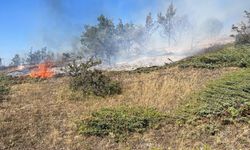 Tokat’taki örtü yangını söndürüldü